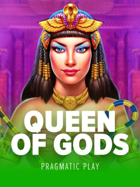 The Evolution of Slots: Discovering SlotQuest\